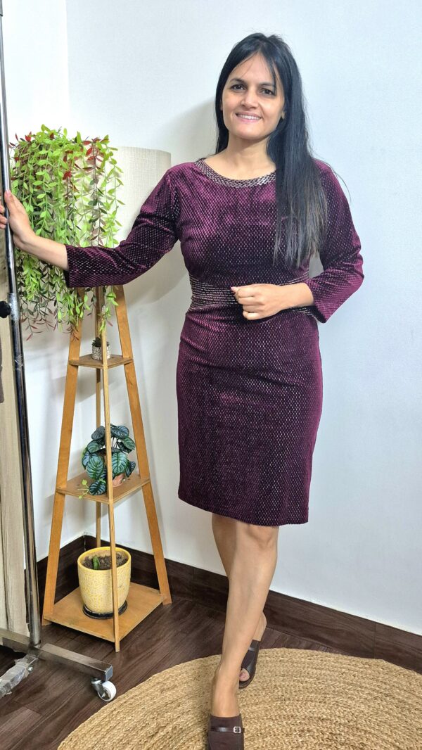 Premium Velvet Dress with Zari Detailing