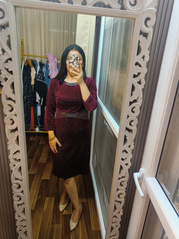 Premium Velvet Dress with Zari Detailing