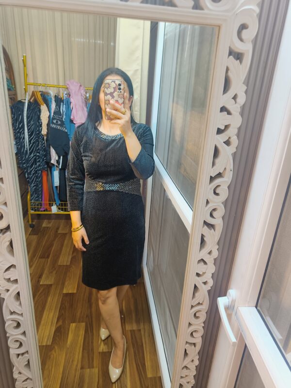 Premium Velvet Dress with Zari Detailing