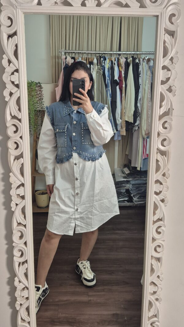 Premium Denim Cotton Designer Dress for Women